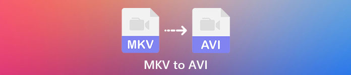 MKV en AVI