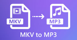 MKV naar MP3