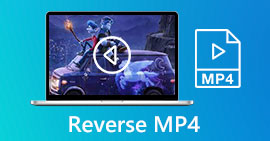 Reverse MP4 S