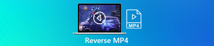 Inverser MP4