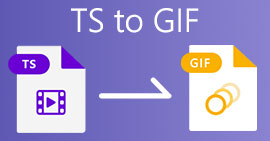 TS إلى GIF