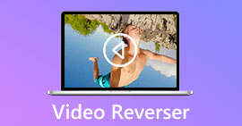 Видео Reverser