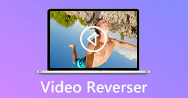 Video Reverser