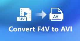 F4V para AVI