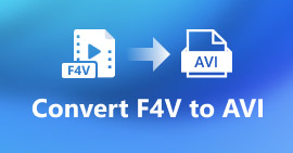 Da F4V ad AVI