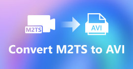 M2TS ถึง AVI