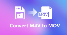 M4V에서 MOV로