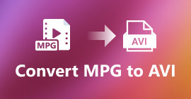 Convertidor de MPG a AVI