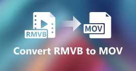 RMVB till MOV
