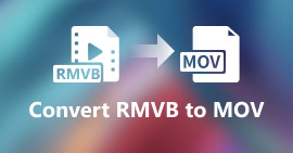 RMVB เป็น MOV