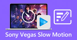 Sony Vegas Slow Motion S