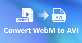 WebM a AVI