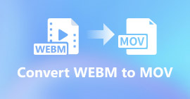 WEBM do MOV