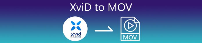 XVID에서 MOV로