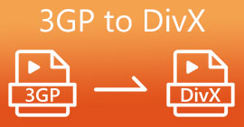3GP To DIVX