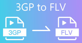 3GP'den FLV'ye