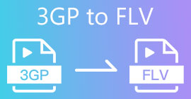 3GP To FLV