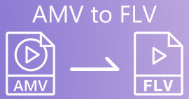 AMV'den FLV'ye dönüştürücü