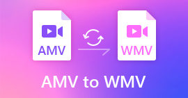 AMV To WMV