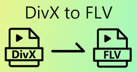 DIVX 转 FLV