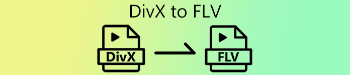 DIVX에서 FLV로