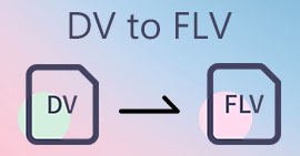 DV إلى FLV