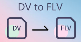 DV til FLV