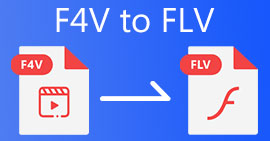 F4V'den FLV'ye
