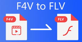 F4V a FLV