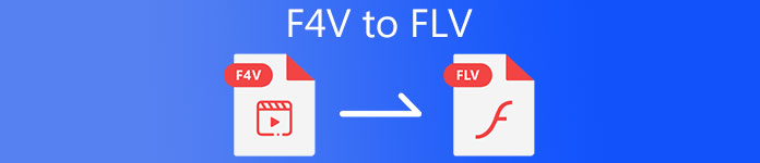 F4V To FLV