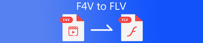 F4V Ke FLV