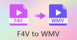 F4V vers WMV