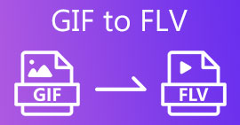 GIF 转 FLV
