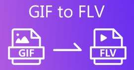 GIF를 FLV로