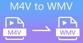 M4V เป็น WMV