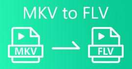 MKV به FLV