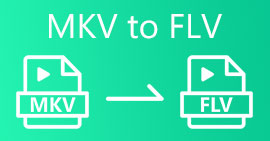 MKV Ke FLV