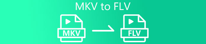 MKV para FLV