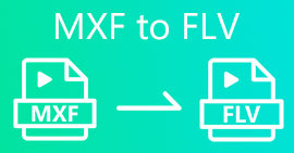 MXF a FLV