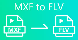 MXF เป็น FLV