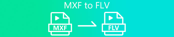 MXF에서 FLV로
