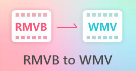 RMVB para WMV
