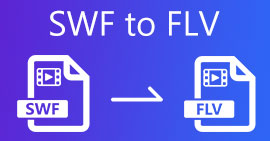 SWF به FLV