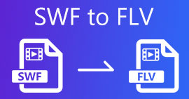 SWF To FLV