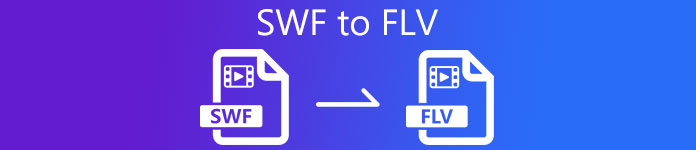 SWF To FLV