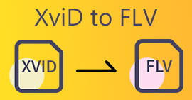 XVID a FLV