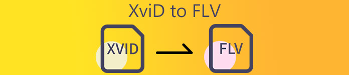 XVID To FLV