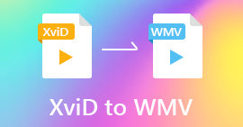 XVID ל-WMV