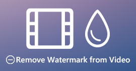 13remove Video Watermark