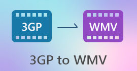3GP a WMV